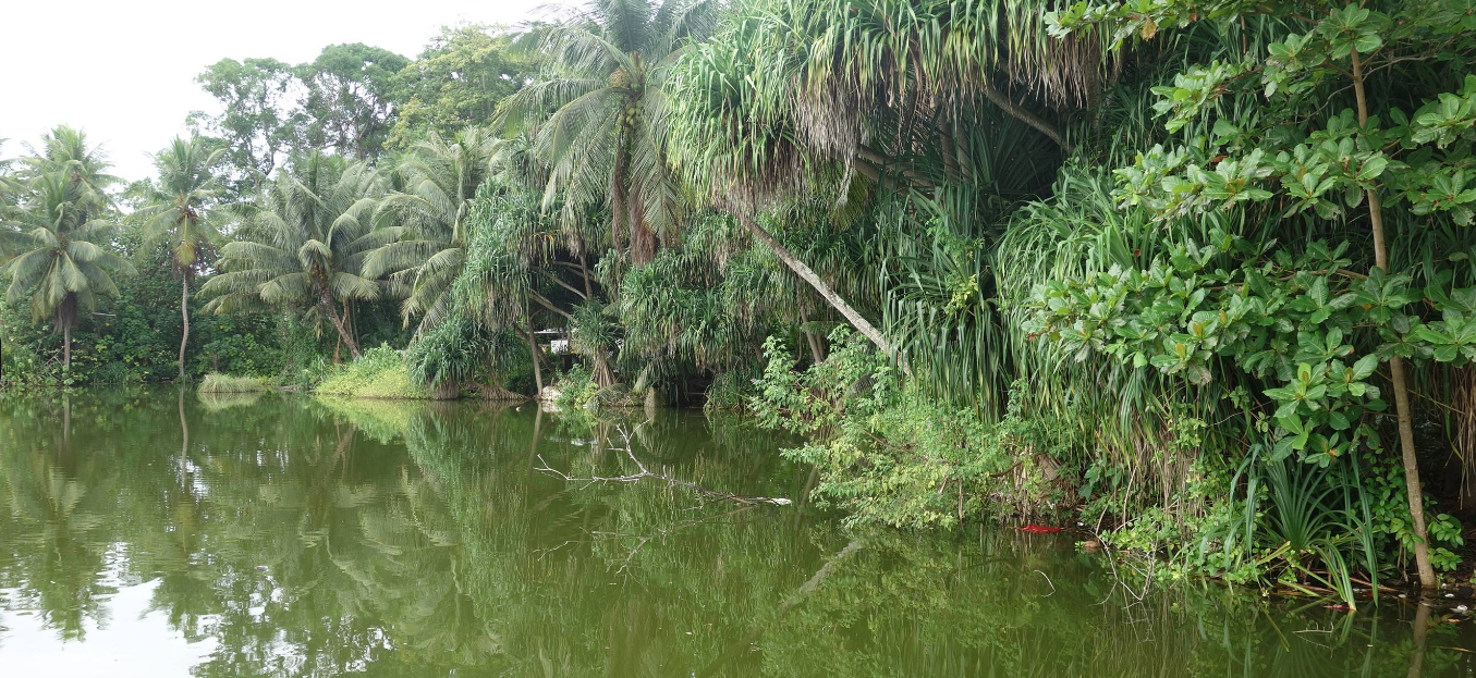 Possible Filming Locations